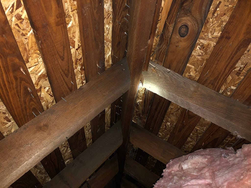 attic rafters east brightonhoney.com