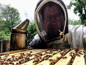 ward graham beekeeping aug 2021 brightonhoney.com