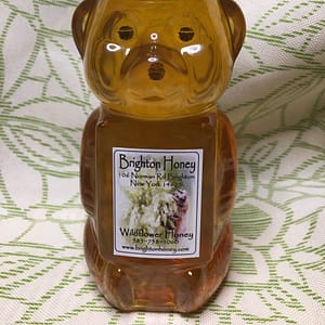 brighton honey spring light honey bear
