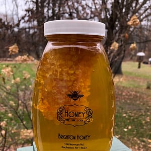 honey with comb - brightonhoney.com