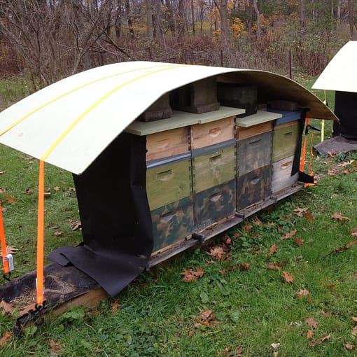 beehives ready for winter