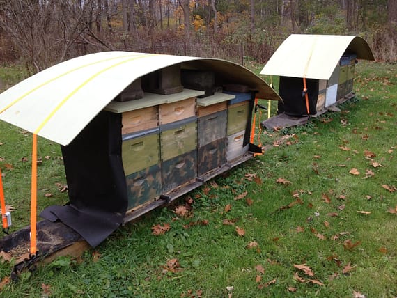 beehives ready for winter